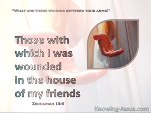Zechariah 13:6